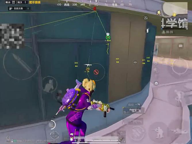 深入了解和平精英辅助现象：技术创新与社会影